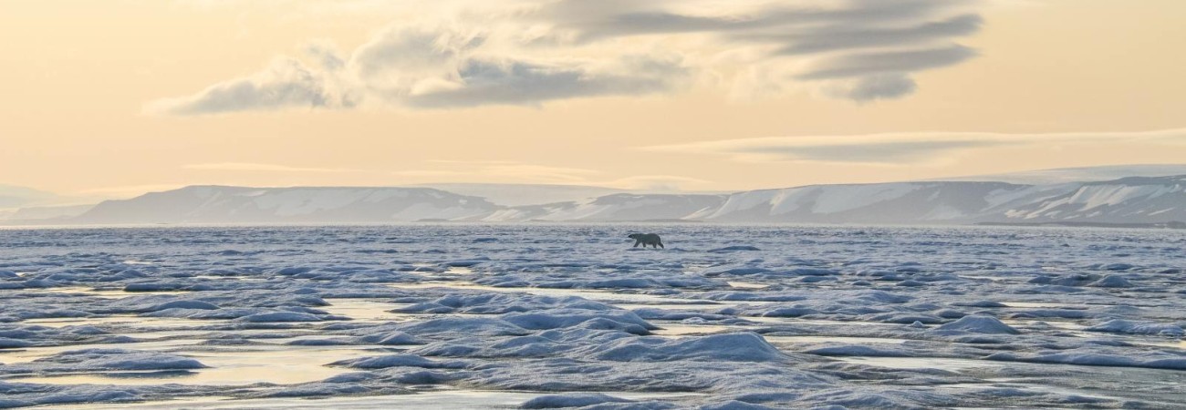 Foto: PolarQuest
